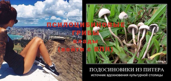 2c-b Покачи